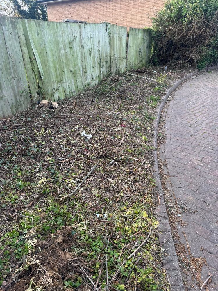 Overgrown boundary before