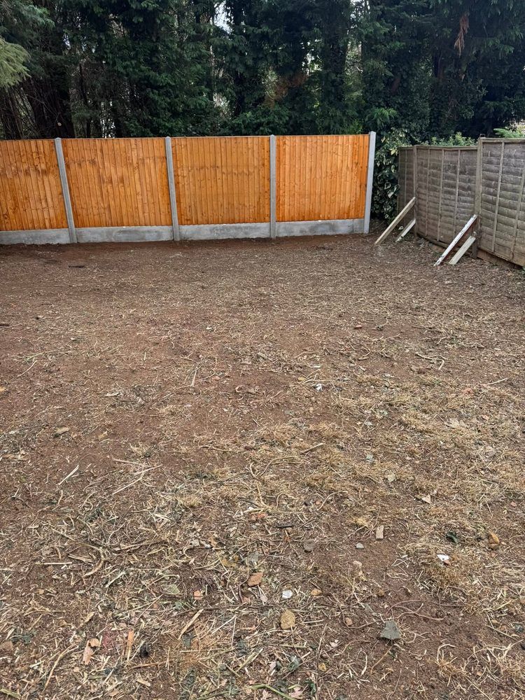 Transformed garden after